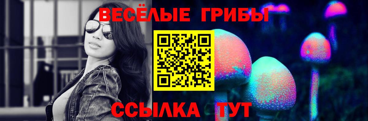 Орехово-Зуево  Псилоцибиновые грибы Magic Shrooms  дарнет шоп  Вход с VPN 